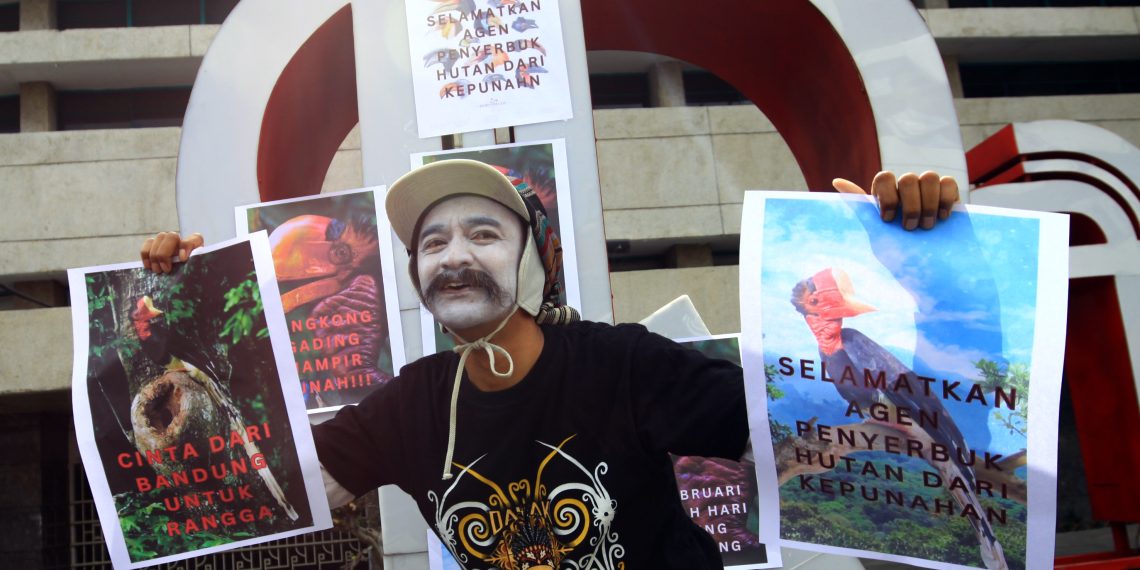 Burung Enggang Gading