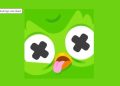 Duolingo Owl