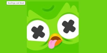 Duolingo Owl