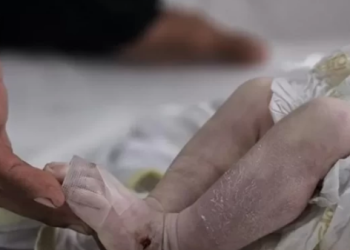 Enam Anak Meninggal Kedinginan, Hamas Kecam Israel