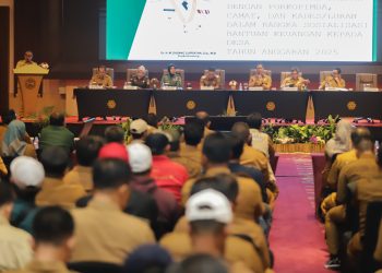 anggaran bantuan desa