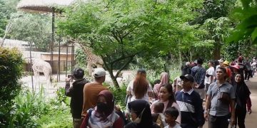 teknologi insenerator