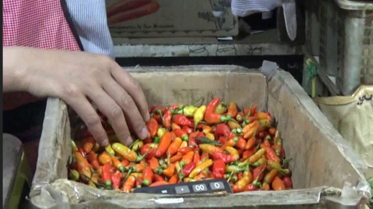 harga pangan tinggi