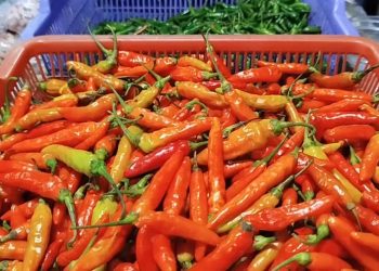 harga kebutuhan pokok melonjak