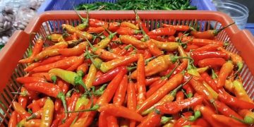 harga kebutuhan pokok melonjak