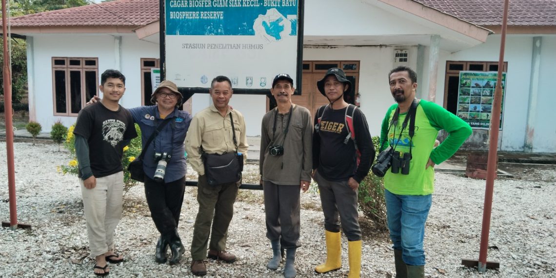 belantara foundation