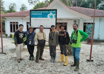 belantara foundation