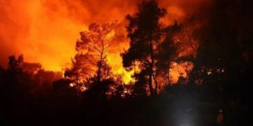 kebakaran hutan korea selatan