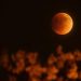 Full Worm “Blood” Moon Akan Terjadi Maret 2025