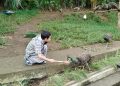 Wisata Seru: Beri Makan Burung Merak di Lembang Park Zoo