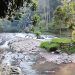 sungai