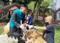 kurban