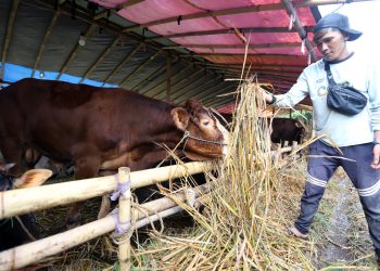 Warga Bandung Diimbau Cek Kalung dan Aplikasi e-Selamat