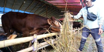 Warga Bandung Diimbau Cek Kalung dan Aplikasi e-Selamat