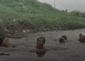 Sungai Cikijing