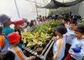 Kube Eduwisata