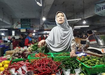 Harga Kebutuhan Pokok