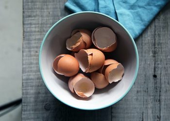 Manfaat cangkang telur