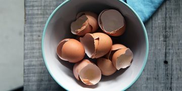 Manfaat cangkang telur