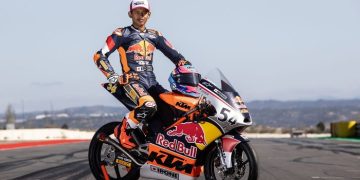 red bull rookies cup