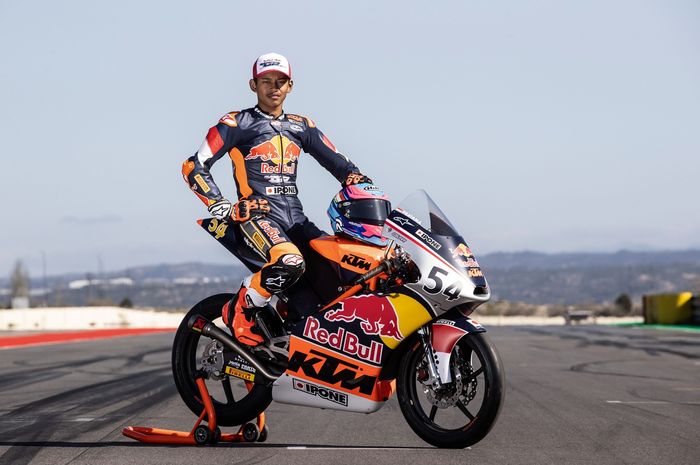 red bull rookies cup