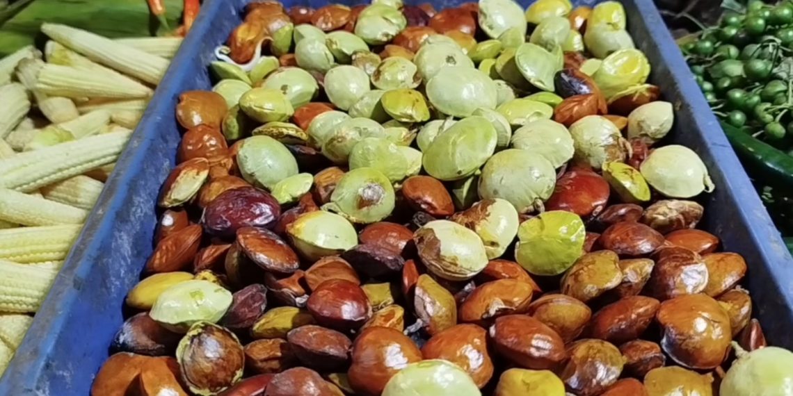 Harga jengkol bandung