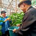 Panen raya cabai Paprika dilaksanakan langsung oleh Ketua Umum Pengurus Besar Paguyuban Pasundan, Prof.Dr.H.M.Didi Turmudzi, M.Si, didampingi para Pengurus Besar Paguyuban Pasundan dan juga pengurus Paguyuban Pasundan Cabang Kabupaten Bandung, didampingi Ketua Kelompok Tani Kahuripan, Sugianto. (FOto : tie/Pasjabar)