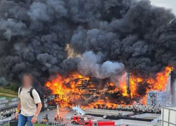 tomorrowland festival