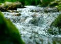 Krisis Sungai