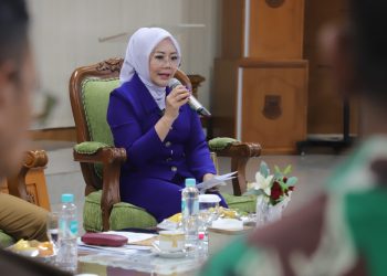 Anggota DPD RI dari daerah pemilihan Jawa Barat, Aanya Rina Casmayanti, melaksanakan kunjungan reses ke Kota Cimahi pada Senin, 4 Agustus 2025. (Ist)