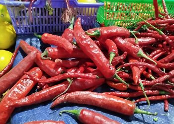 harga cabai bandung