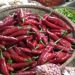 Harga Cabai