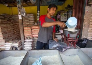 Harga Pangan Pokok Turun, Dari Beras Hingga Ikan Konsumsi