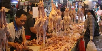 Harga Ayam dan Telur