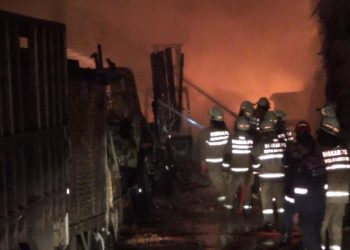 pabrik kardus cibolerang