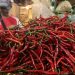 Harga Pangan