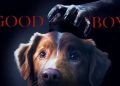good boy