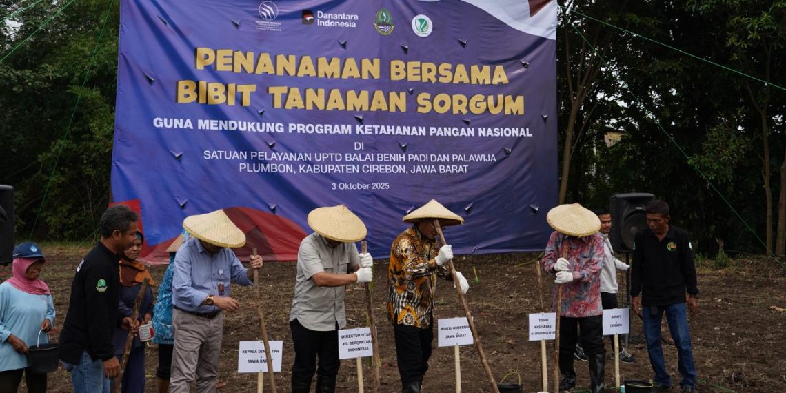 Penanaman Bersama Sorgum