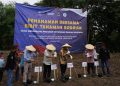 Penanaman Bersama Sorgum