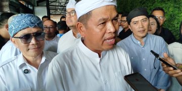 Lapangan Sepak Bola Profesional