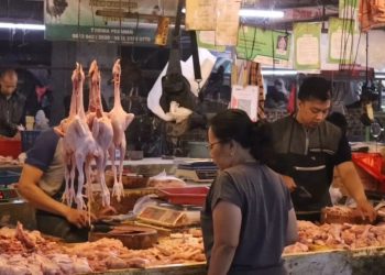 harga kebutuhan pokok