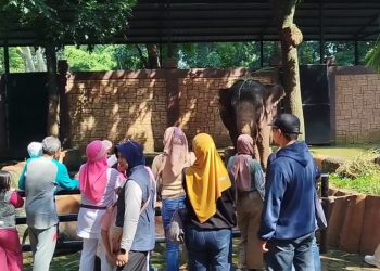 bandung zoo