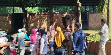 bandung zoo