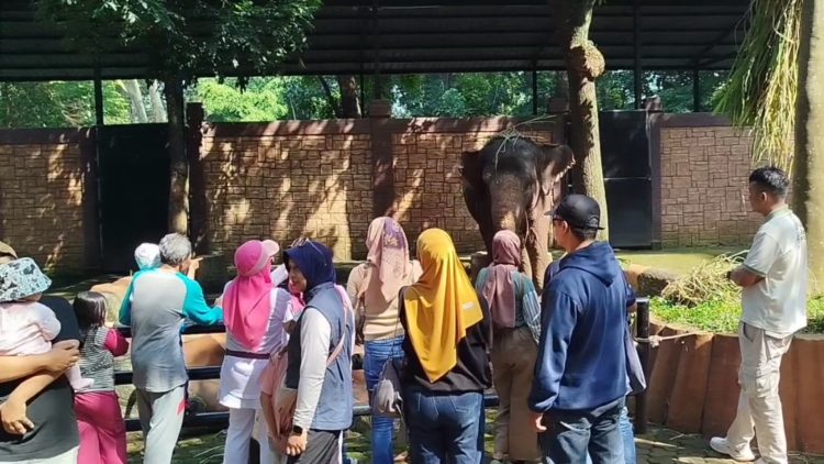 bandung zoo