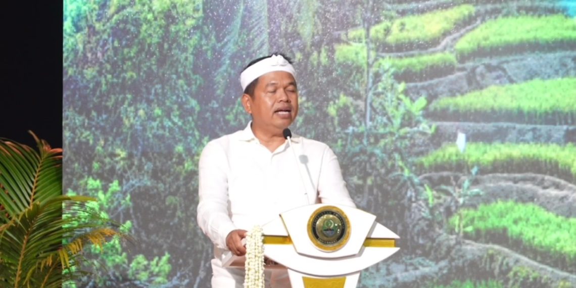 budidaya kelapa sawit