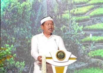 budidaya kelapa sawit