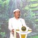 budidaya kelapa sawit