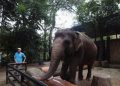 Bandung Zoo