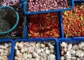 harga pangan
