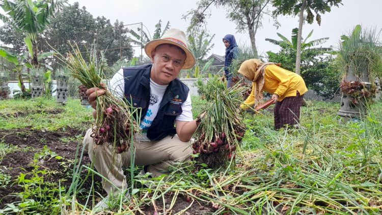 Program Buruan SAE Bandung Ketahanan Pangan sukses raih penghargaan dunia. Ubah pekarangan jadi sumber pangan mandiri di tengah keterbatasan lahan kota. (Ave/pasjabar)